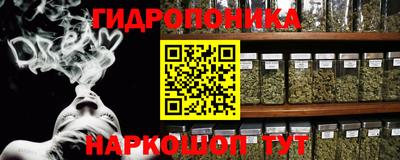 бошки Кимры