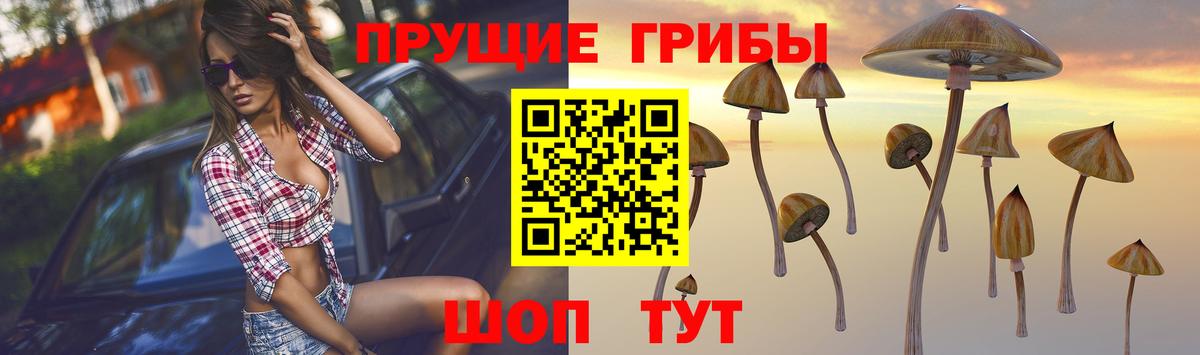 Феодосия  Псилоцибиновые грибы мухоморы  цена   Вход с VPN  Псилоцибиновые грибы мицелий 